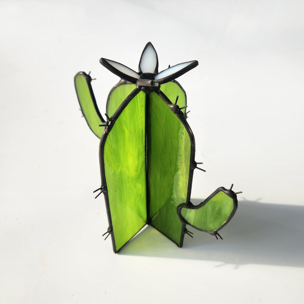 Saguaro Cactus - White & Black