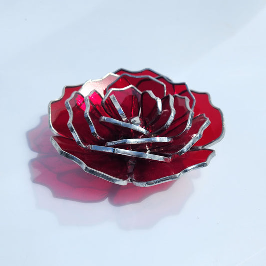 Carnation Flower