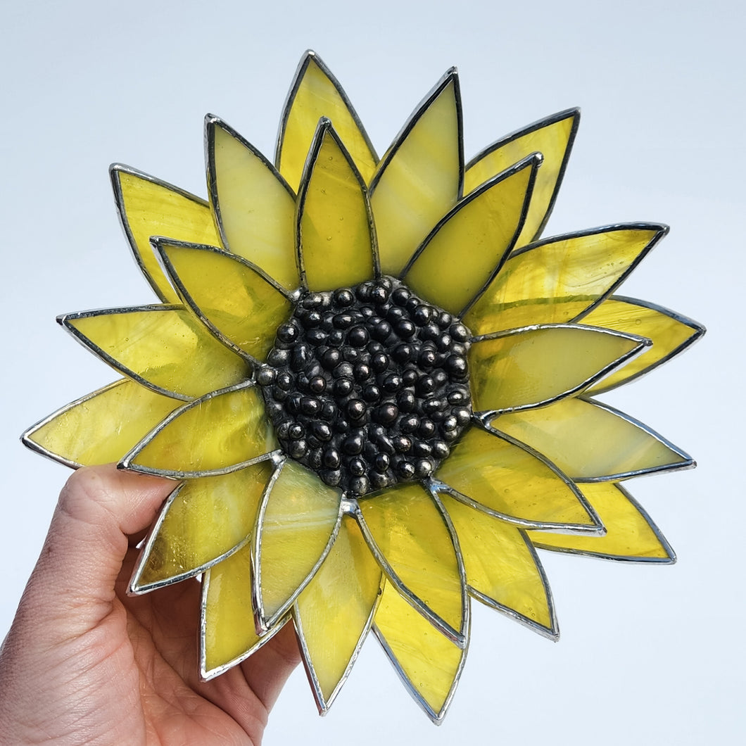 Large Sunflower