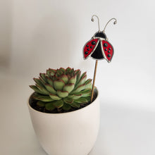 Load image into Gallery viewer, Ladybug Plant Stake
