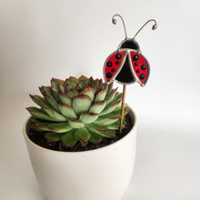 Load image into Gallery viewer, Ladybug Plant Stake
