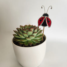 Load image into Gallery viewer, Ladybug Plant Stake
