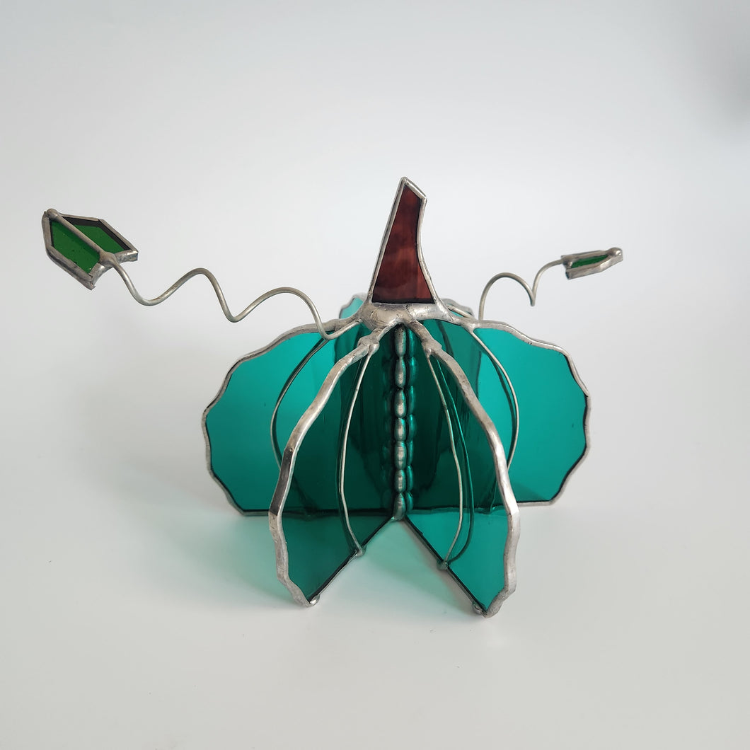Teal Pumpkin