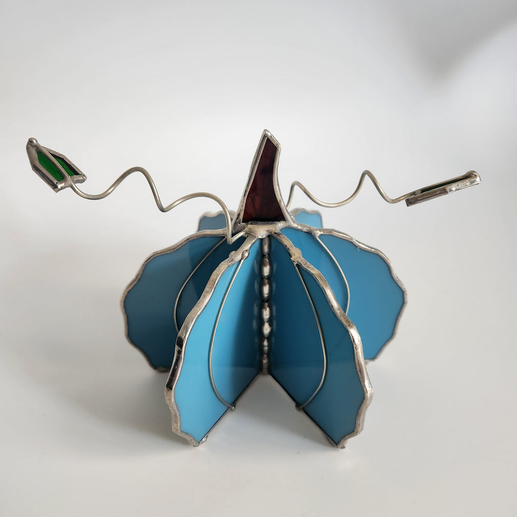 Cinderella Blue Pumpkin