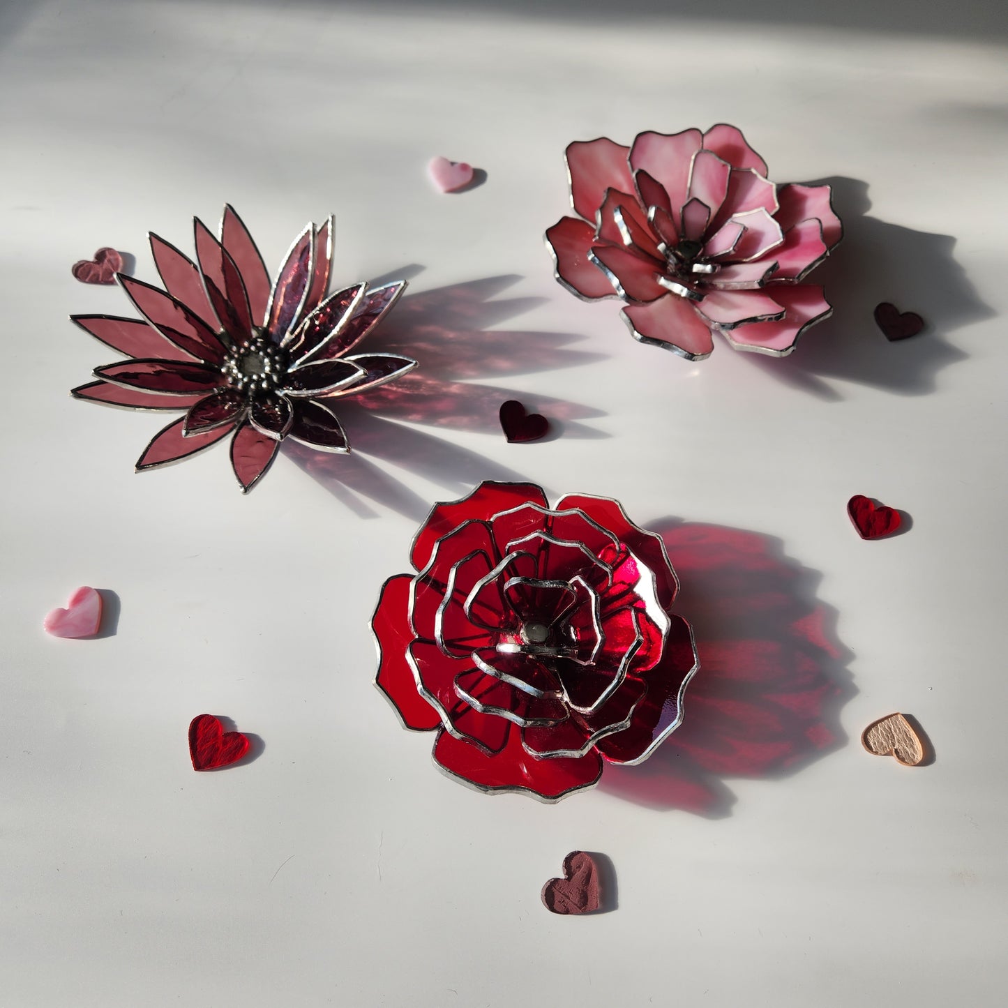 Carnation Flower