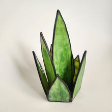 Load image into Gallery viewer, Snake Plant 1

