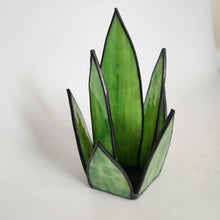 Load image into Gallery viewer, Snake Plant 2
