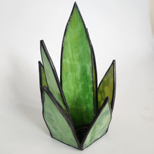 Load image into Gallery viewer, Snake Plant 2
